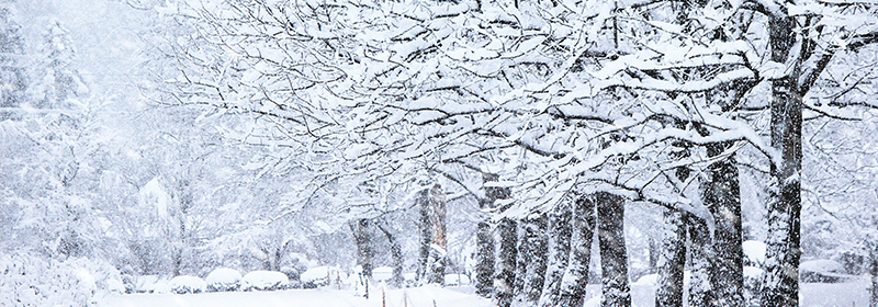 メッツイベント満載! 満喫しよう!!